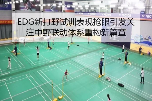 EDG新打野试训表现抢眼引发关注中野联动体系重构新篇章